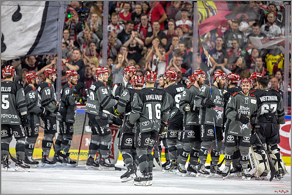 DEL Koelner Haie - Grizzlys Wolfsburg, 23.09.2018
